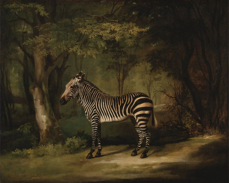ゼブラ - ジョージ・スタッブス

Source:
Zèbre - George Stubbs
